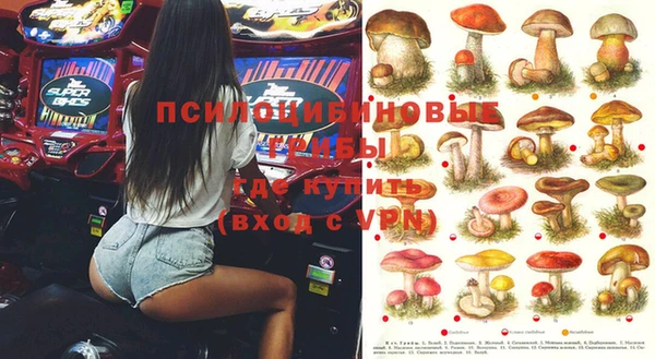 стаф Лихославль
