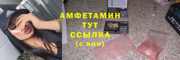 PSILOCYBIN Липки